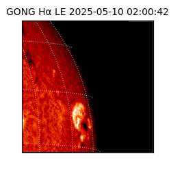 gong - 2025-05-10T02:00:42