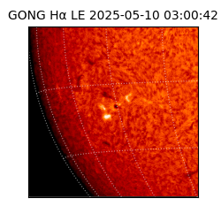 gong - 2025-05-10T03:00:42