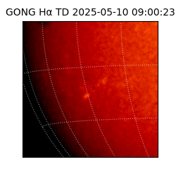 gong - 2025-05-10T09:00:23