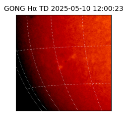 gong - 2025-05-10T12:00:23