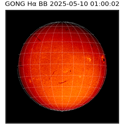 gong - 2025-05-10T01:00:02