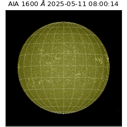 saia - 2025-05-11T08:00:14.125000