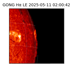 gong - 2025-05-11T02:00:42