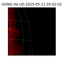 gong - 2025-05-11T05:02:02