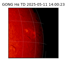 gong - 2025-05-11T14:00:23