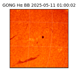 gong - 2025-05-11T01:00:02