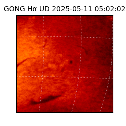 gong - 2025-05-11T05:02:02