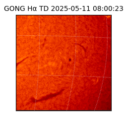 gong - 2025-05-11T08:00:23