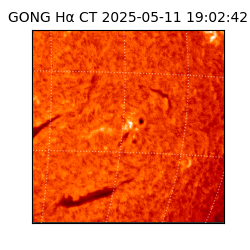 gong - 2025-05-11T19:02:42