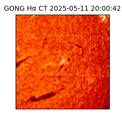 gong - 2025-05-11T20:00:42