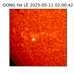 gong - 2025-05-11T02:00:42