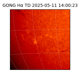 gong - 2025-05-11T14:00:23