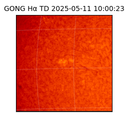 gong - 2025-05-11T10:00:23