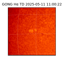 gong - 2025-05-11T11:00:22