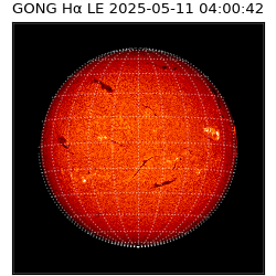 gong - 2025-05-11T04:00:42