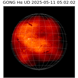 gong - 2025-05-11T05:02:02