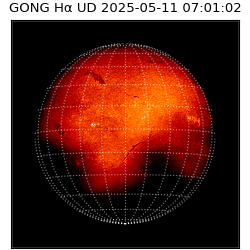 gong - 2025-05-11T07:01:02