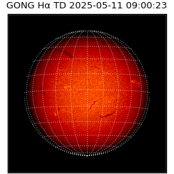 gong - 2025-05-11T09:00:23