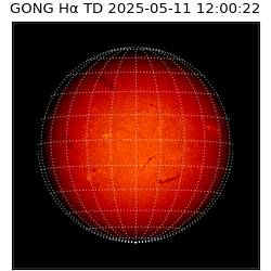 gong - 2025-05-11T12:00:22