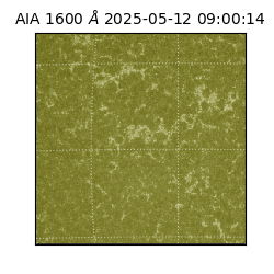 saia - 2025-05-12T09:00:14.125000