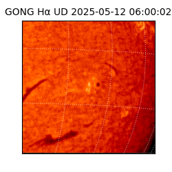 gong - 2025-05-12T06:00:02