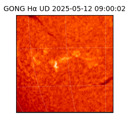 gong - 2025-05-12T09:00:02