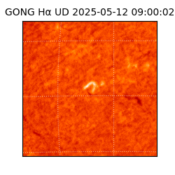 gong - 2025-05-12T09:00:02