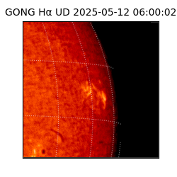 gong - 2025-05-12T06:00:02