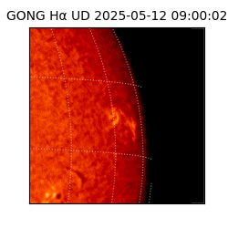 gong - 2025-05-12T09:00:02