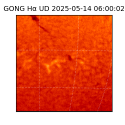 gong - 2025-05-14T06:00:02