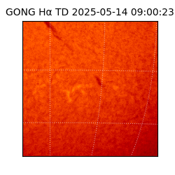 gong - 2025-05-14T09:00:23