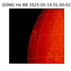 gong - 2025-05-14T01:00:02