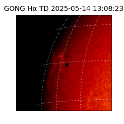 gong - 2025-05-14T13:08:23