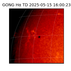 gong - 2025-05-15T16:00:23