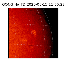 gong - 2025-05-15T11:00:23