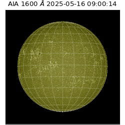 saia - 2025-05-16T09:00:14.126000