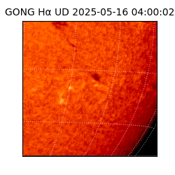 gong - 2025-05-16T04:00:02