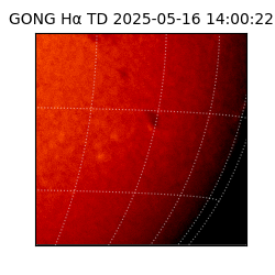 gong - 2025-05-16T14:00:22
