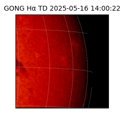gong - 2025-05-16T14:00:22