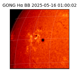 gong - 2025-05-16T01:00:02