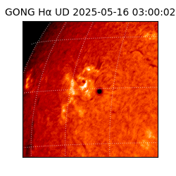 gong - 2025-05-16T03:00:02