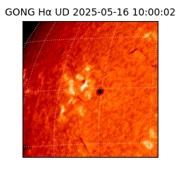 gong - 2025-05-16T10:00:02