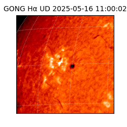 gong - 2025-05-16T11:00:02
