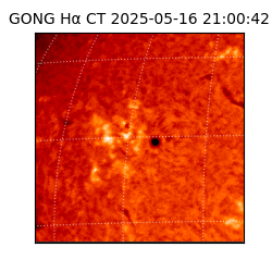 gong - 2025-05-16T21:00:42
