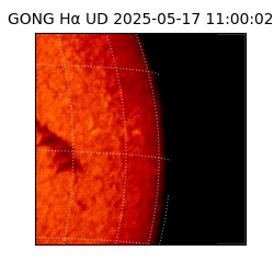 gong - 2025-05-17T11:00:02