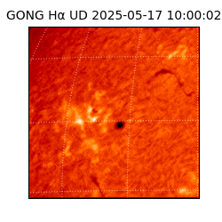 gong - 2025-05-17T10:00:02