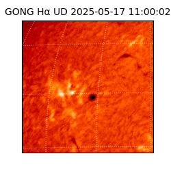 gong - 2025-05-17T11:00:02