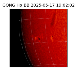 gong - 2025-05-17T19:02:02