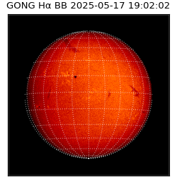 gong - 2025-05-17T19:02:02