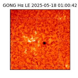 gong - 2025-05-18T01:00:42